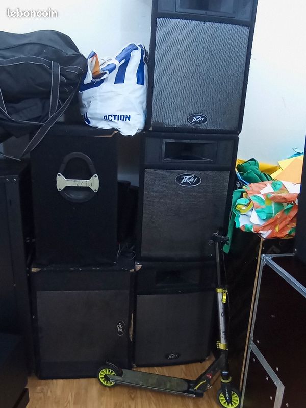 Enceinte Peaveys (image 3)