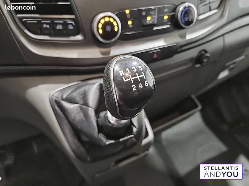 Ford Transit FGN T350 L2H2 2.0 ECOBLUE 130 S&S TREND BUSINESS (image 16)