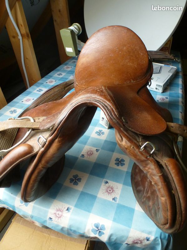 Équitation. La belle histoire d'Antoine Nowakowski