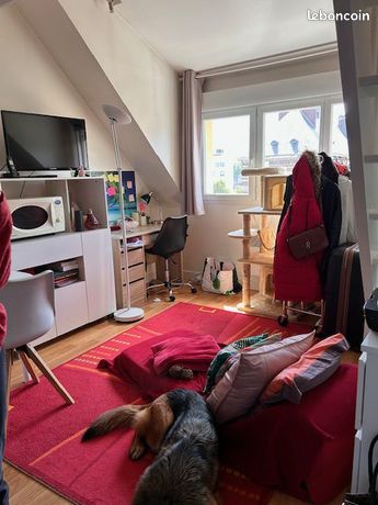 Studio 1 pièce 20 m²