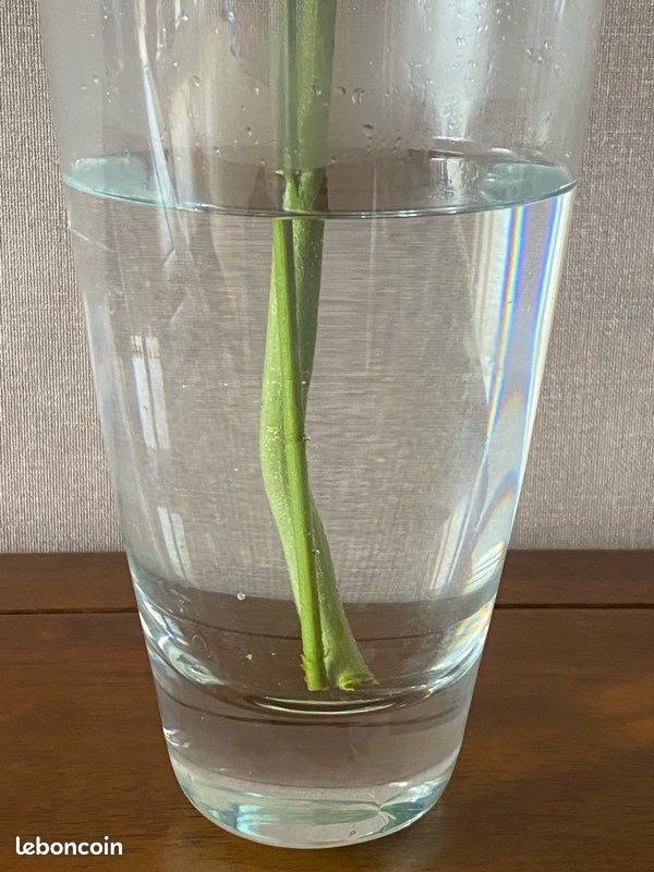 Vase pour ikebana (image 2)