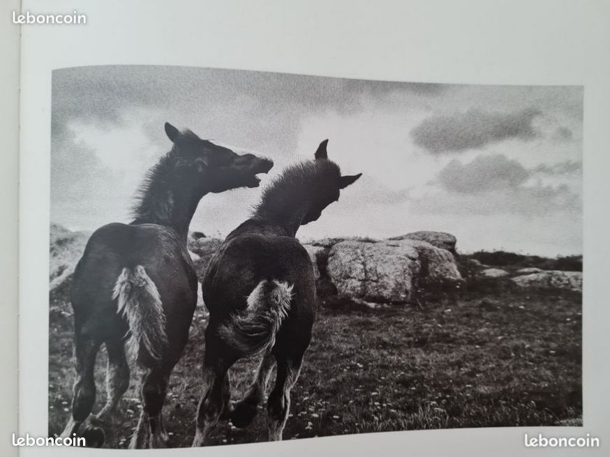 Livre d'Art, Édition collector, ouvrage photographique de Michelle Le Braz (image 3)
