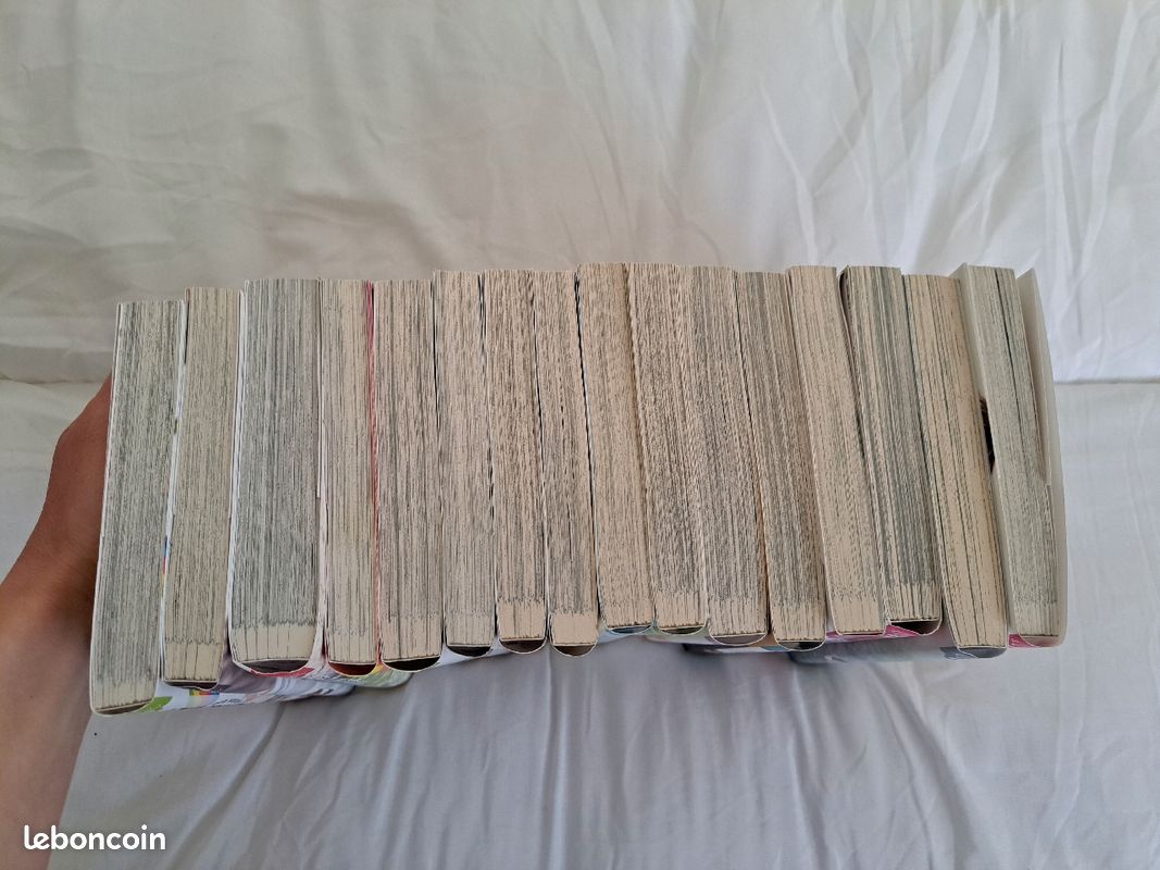 Mangas yaoi, 3 euros le tome (image 10)