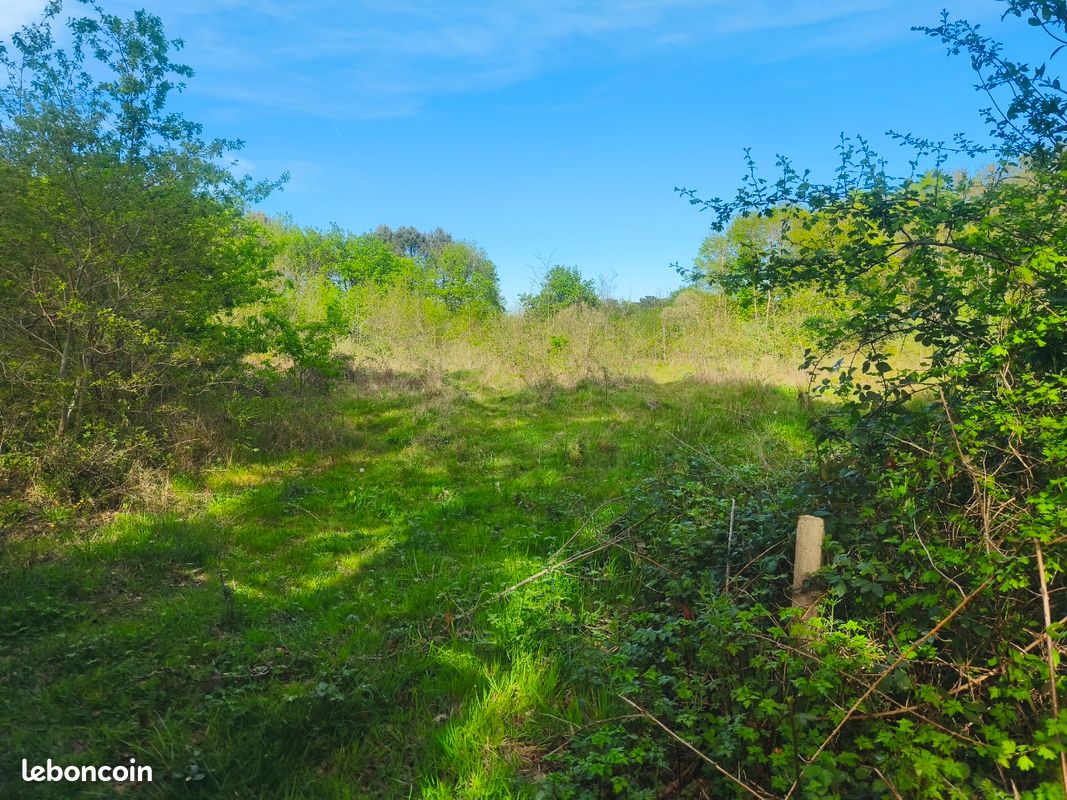 Terrain agricole · à Blanquefort · 16 500 €