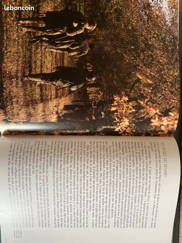 Livre Le Renard (image 5)