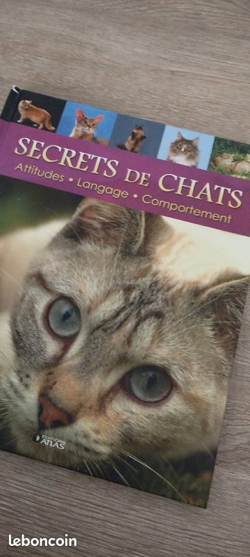 Secrets de chat (image 1)