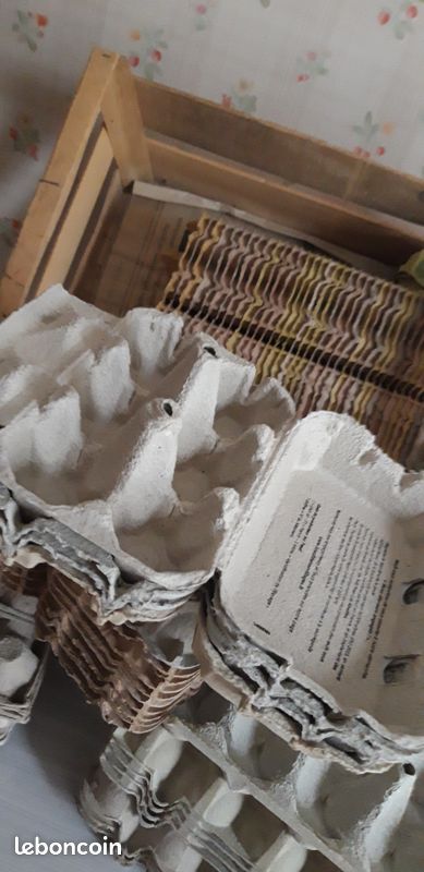 BOITES à oeufs et Alvéoles contenant carton réutilisables (image 2)