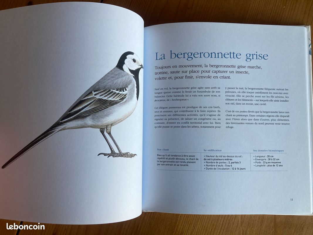 Les oiseaux de mon jardin. Les reconnaître, les accueillir (image 8)