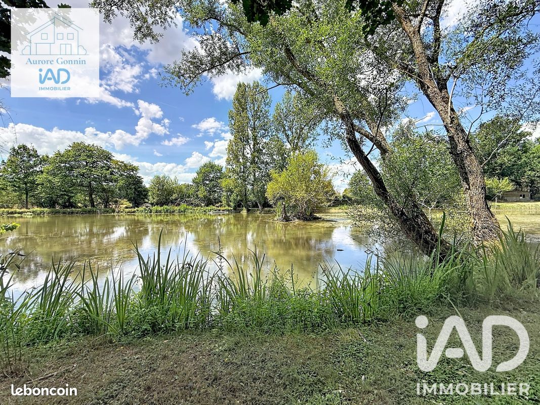 Terrain 21837 m² Chantenay-saint-imbert (image 3)