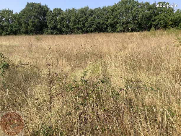 Terrain 4895 m² AIGREMONT