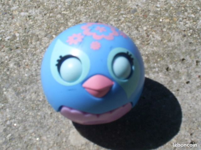 Zooble oiseau (image 1)