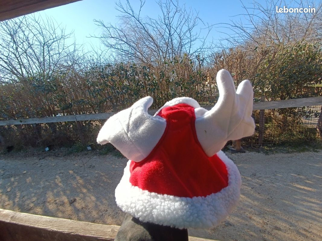 Bonnet De Renne Noël Pour Chevaux QHP | Sellerie