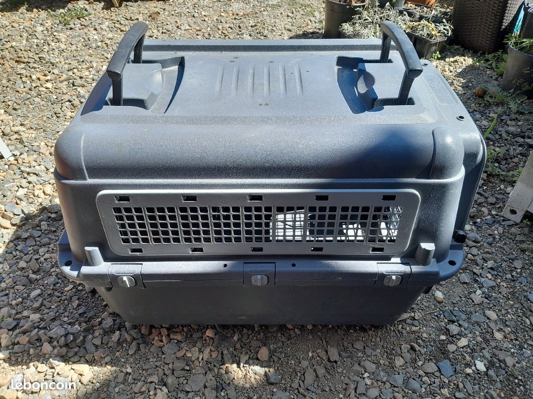 Caisse à chien marque anione (image 1)