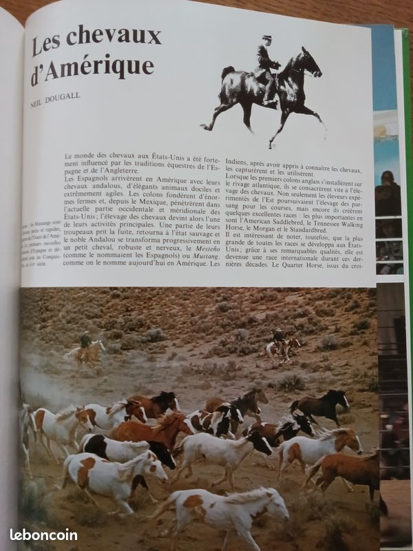 Livre sur les chevaux (image 8)