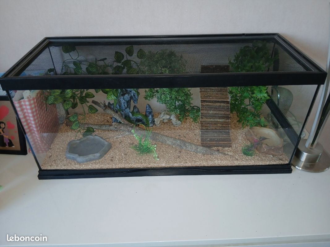 Terrarium 70x25H30 (image 2)