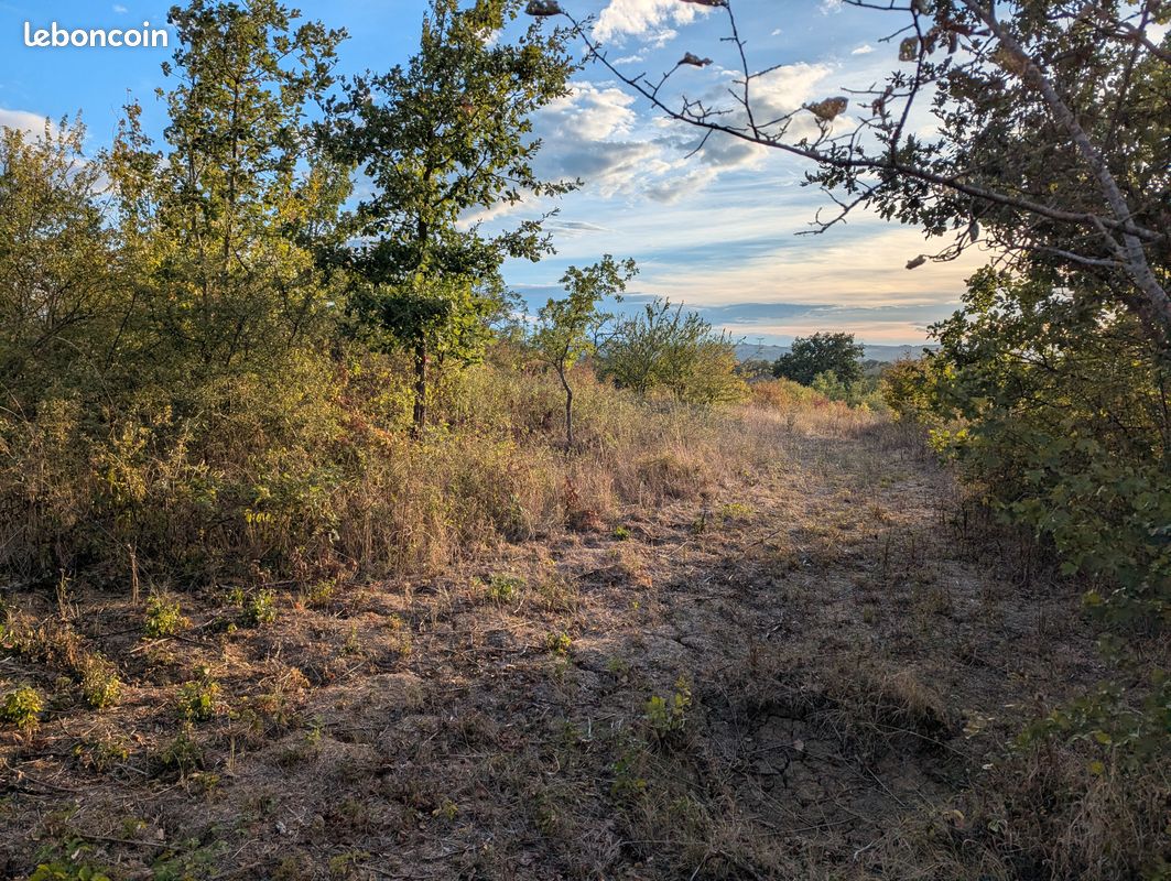 Terrain - friche · à Auterive · 10 000 €