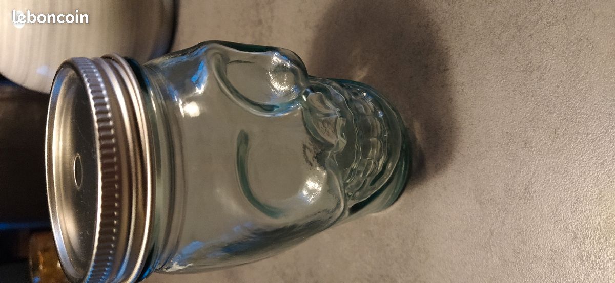 Tête de mort en verre (image 1)