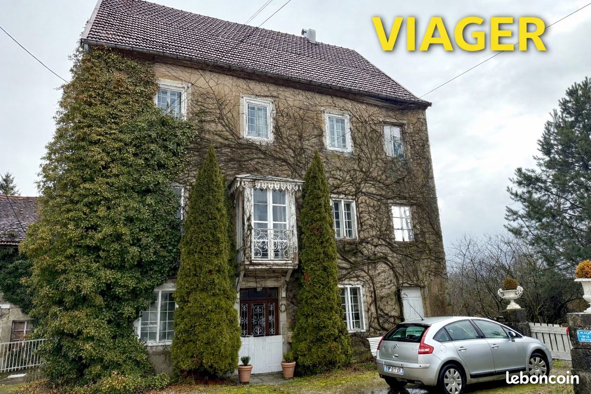 Maison 13 pièces 264 m² · à Belleherbe · 264 m² · 46 000 €