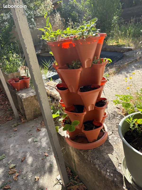 Tour pots fraises embilables (image 1)
