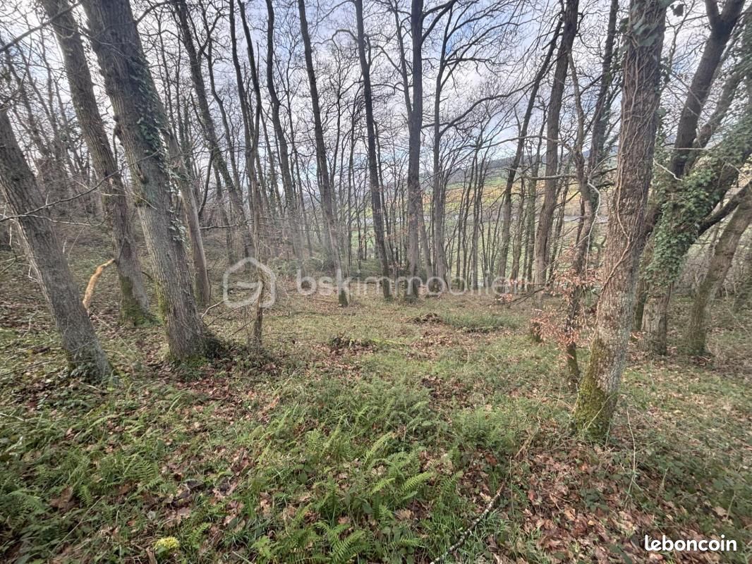 Terrain 24 810 m² Esson · 18 000 €