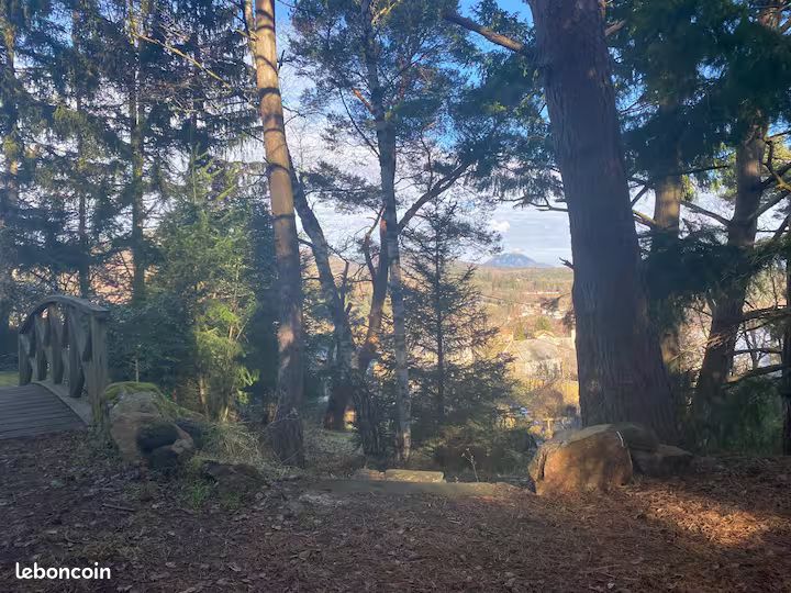Chalet proche Lac D'AYDAT (image 14)