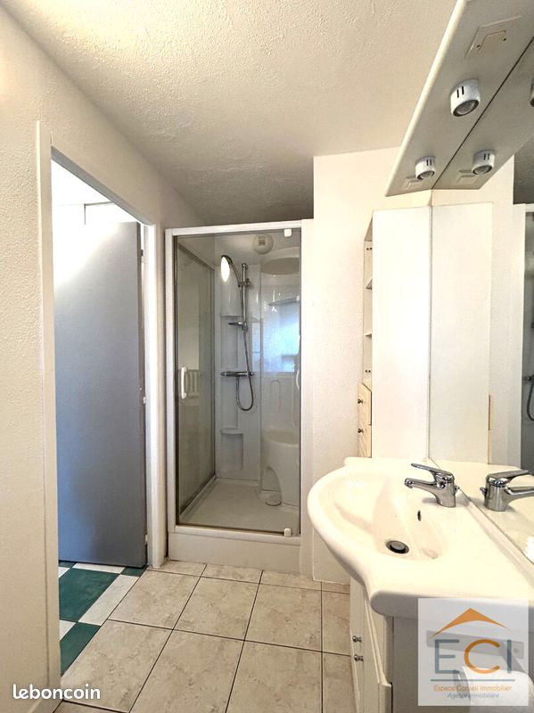 Appartement 1 pièce 26 m² - Limoges 87280 (image principale 5)