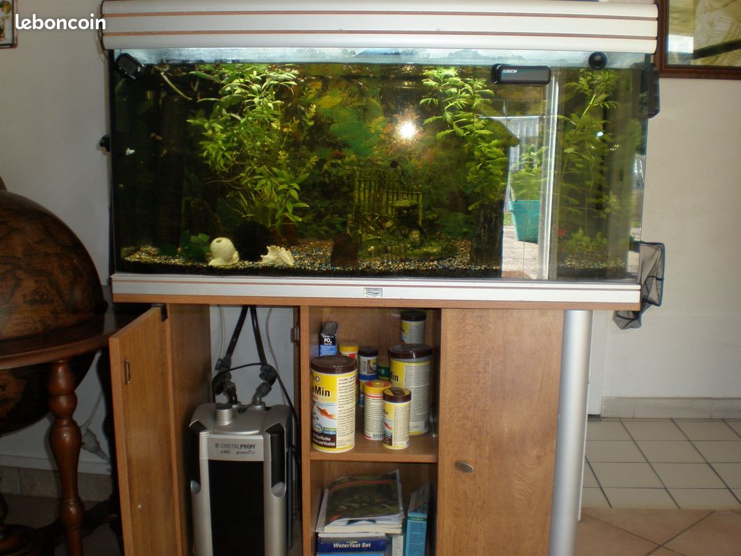 Aquarium (image 1)