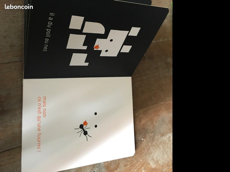 Livre Fourmi (image 2)
