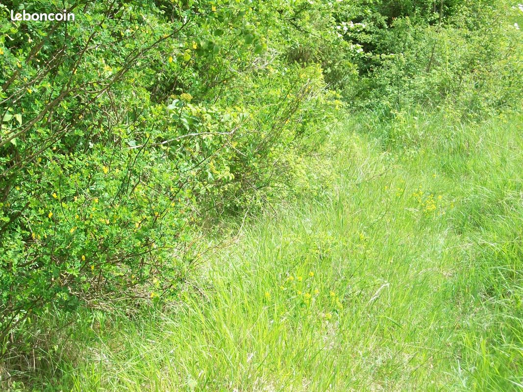 Parcelle boisé, terrain de loisir · à Montagna-le-Reconduit · 14 000 €