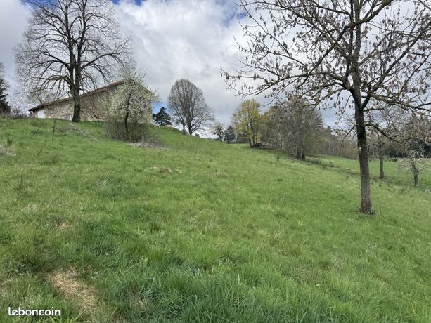 Terrain 3820 m² Lapte