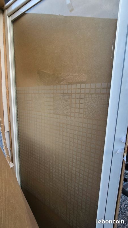 Porte pivotante de douche (image 4)