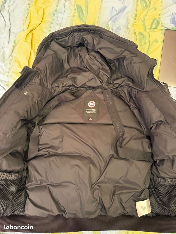 Canada goose (image 11)