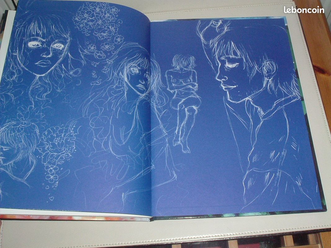BD Entre deux Eaux (image 7)