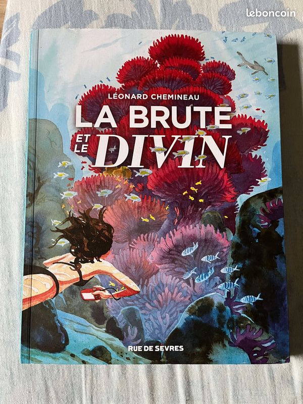 BD la brute et le divin (image 1)