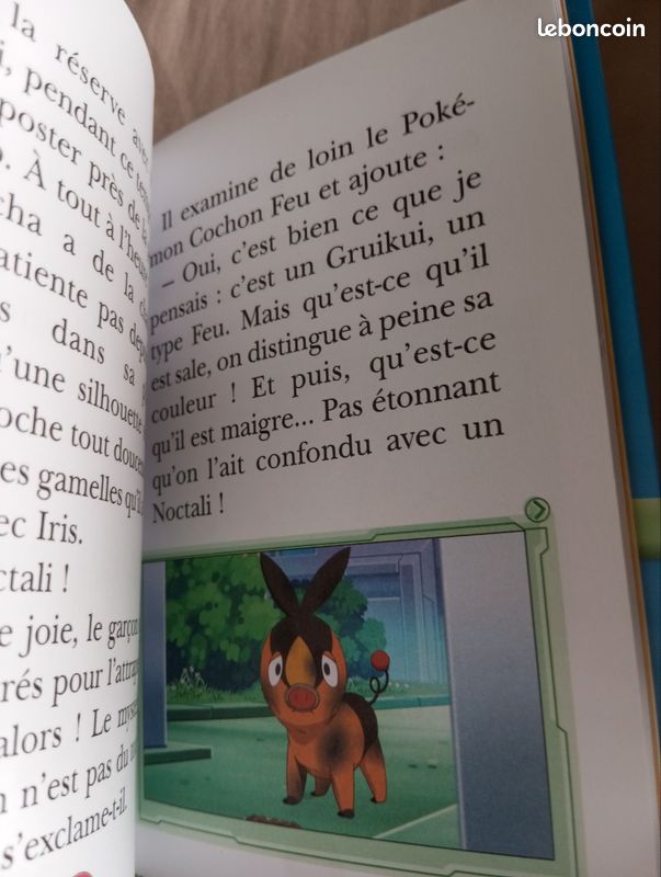 Lot 2 livre pokémon (image 5)