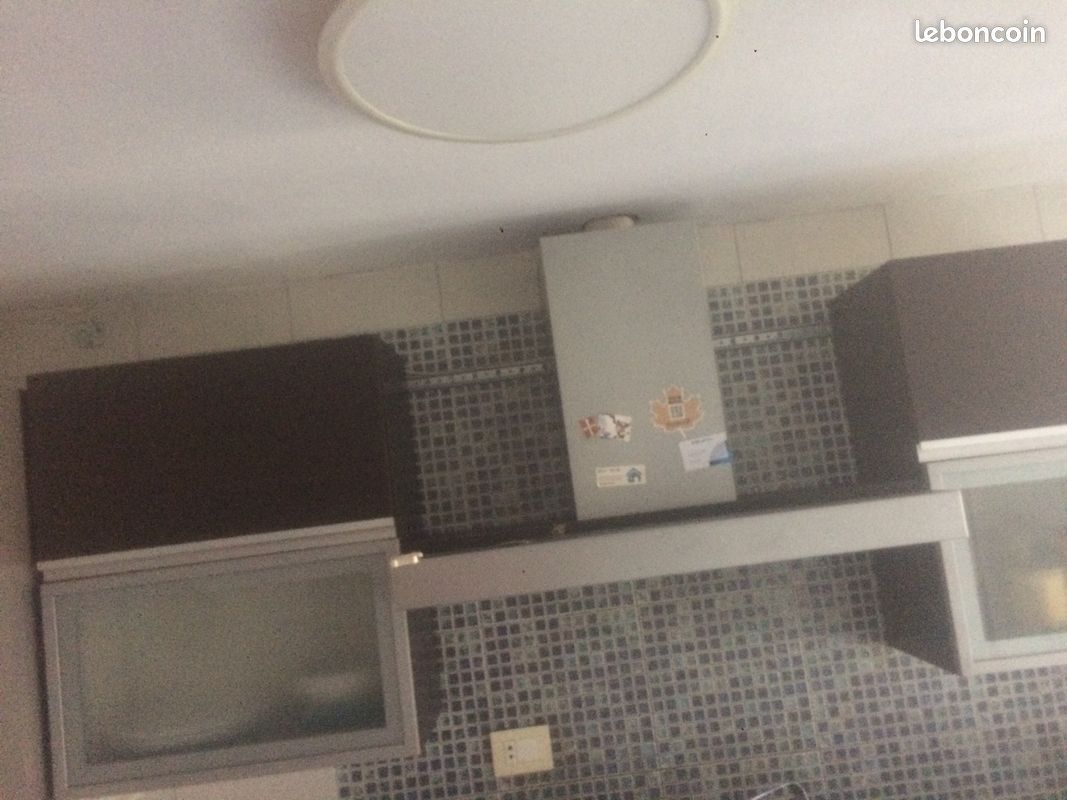 6 meubles haut et bas de cuisine + 1 grand évier IKEA +1 hotte de cuisine (image 5)
