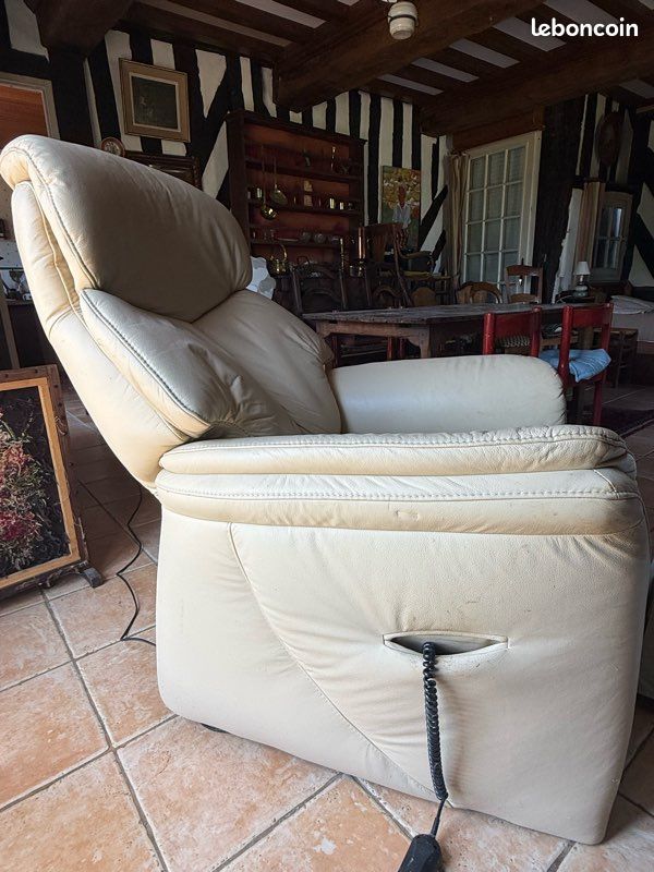 Fauteuil releveur personne âgée (image 3)
