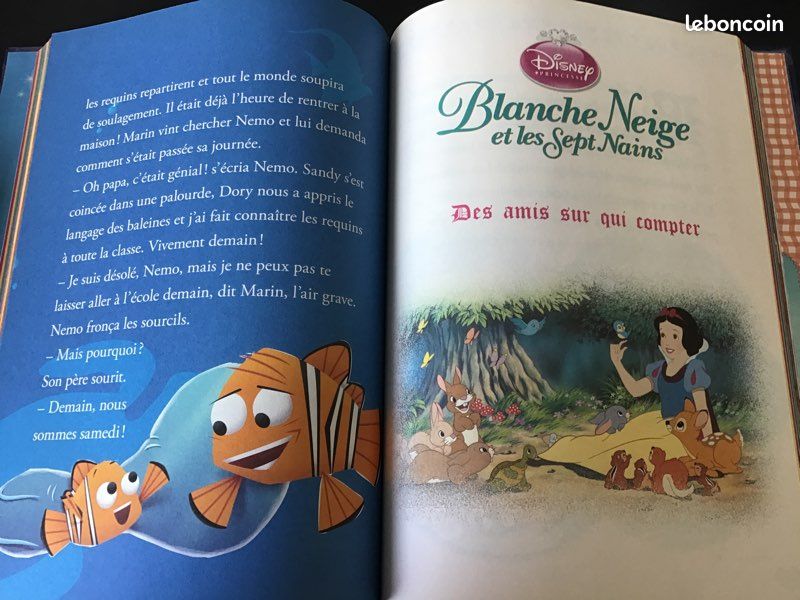Lot de livres Disney (image 7)