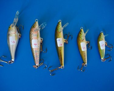 Lot de 4 leurres de pêche Rapala, naufrage et compte à
