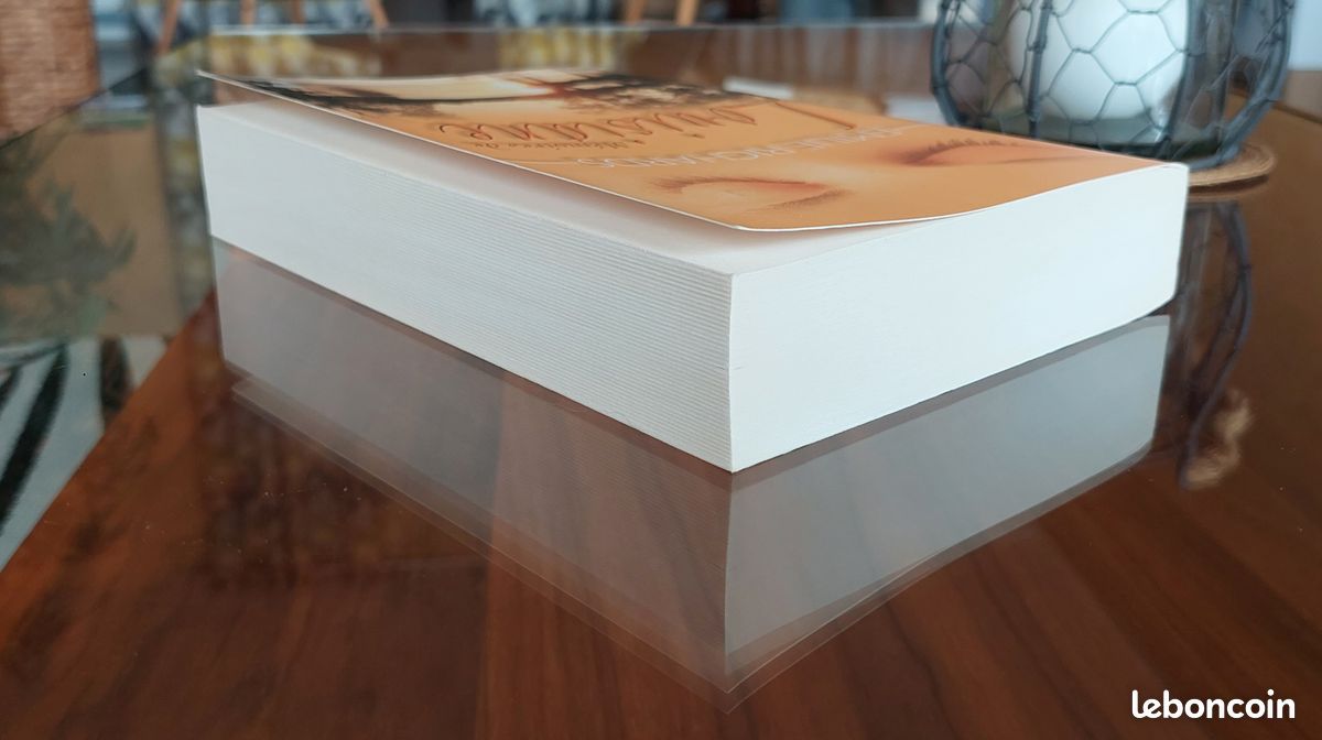 Livre (Grand format, 483 p.) Mémoires de Louisiane - Emilie Richards (Kerobook) (image 11)