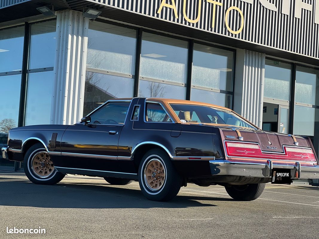 Ford Thunderbird 5,8 V8 351ci Sport 1978 (image 3)