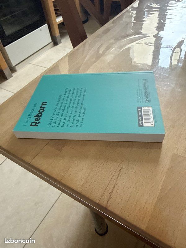 Reborn – Thierry Robberecht – Roman jeunesse science-fiction (image 6)