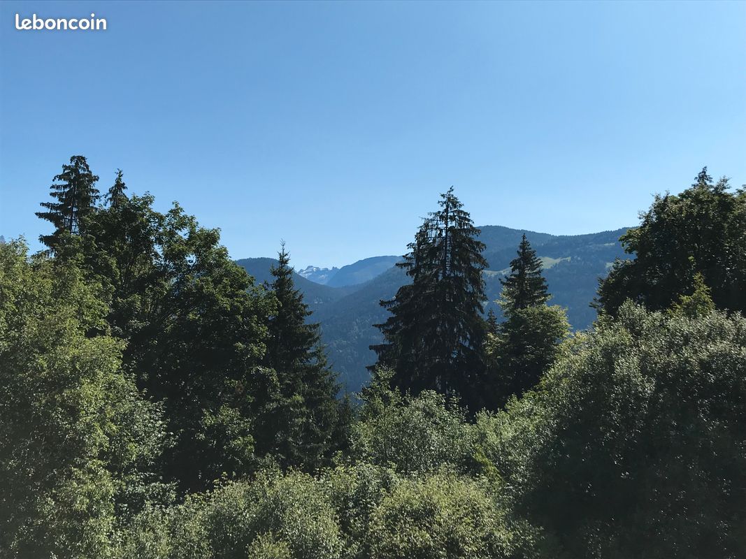 Duplex 7 couchages face au Mont-Blanc (image 9)