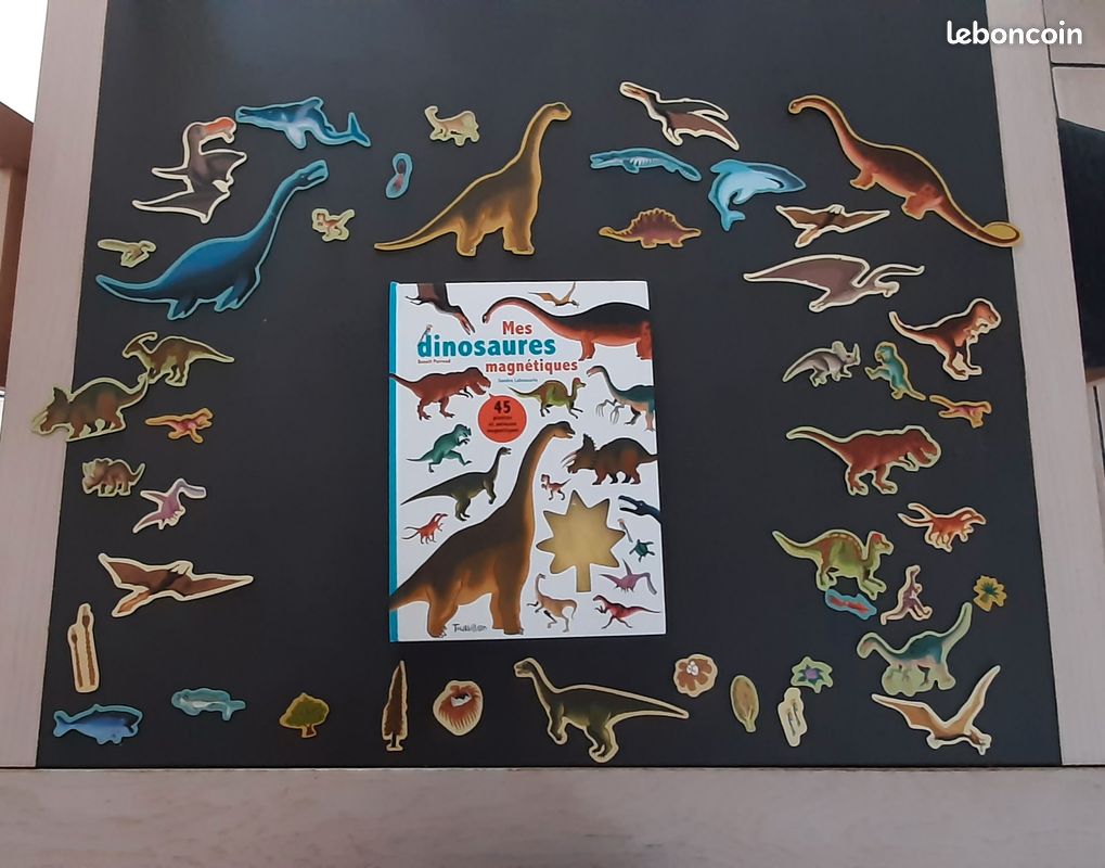 Jeu Mes dinosaures magnétiques (image 1)