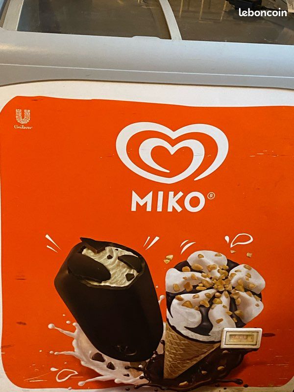 Congélateur professionnel à glace (image 1)