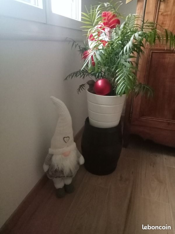 Grand lutin du père noël (image 3)