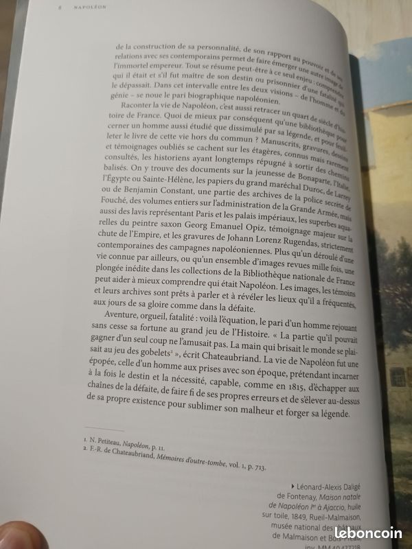 Napoléon la certitude de l'ambition (image 8)