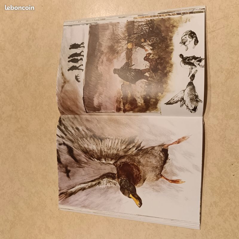 Livre Dessins de chasseb-Rien Poortvliet (image 18)