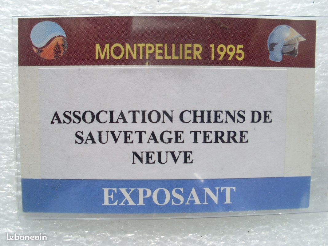 Badges pompiers du 34 (image 1)