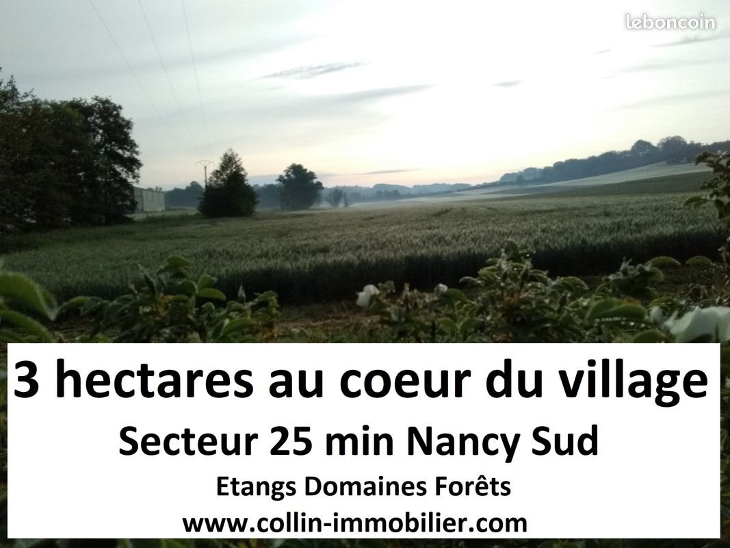 Terrain 30000 m² · à Nancy · 30 000 m² · 146 280 €
